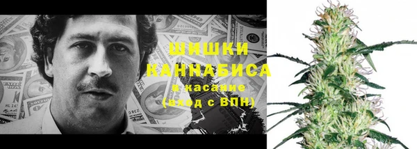 PSILOCYBIN Горно-Алтайск