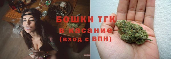 PSILOCYBIN Горно-Алтайск