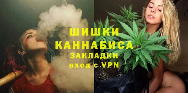 PSILOCYBIN Горно-Алтайск